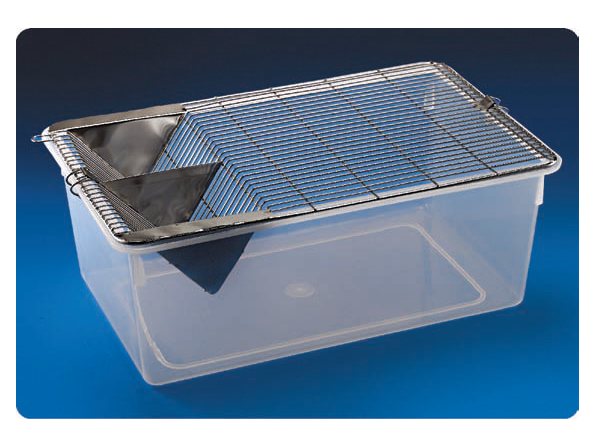 Animal Cage (MGE-1960)