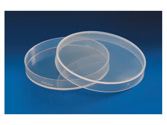 Petri Dish (MGE-1981)