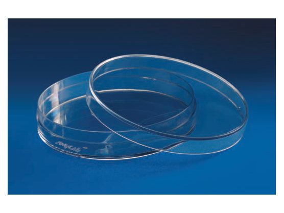 Petri Dish (Culture) (MGE-1982)