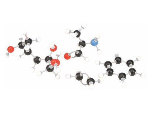 Molecular Model Set - Bio Chemistry Set - Student (MGE-1994)