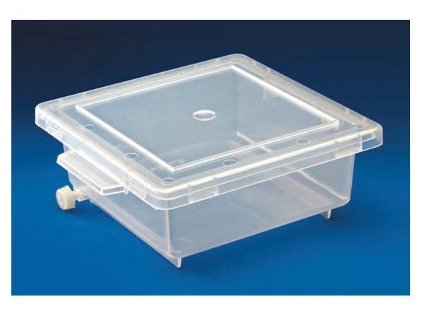 Staining Box (MGE-2180)