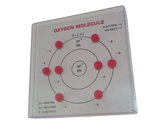 Model of Oxygen Molecules (MGE-2408)