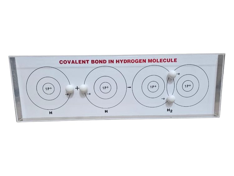 Model of Covalent Bond in Hydrogen Molecule (MGE-2420)