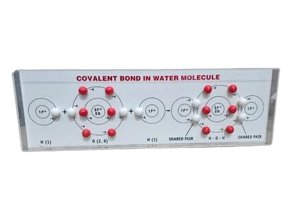 Model of Covalent Bond in Water Molecule (MGE-2422)