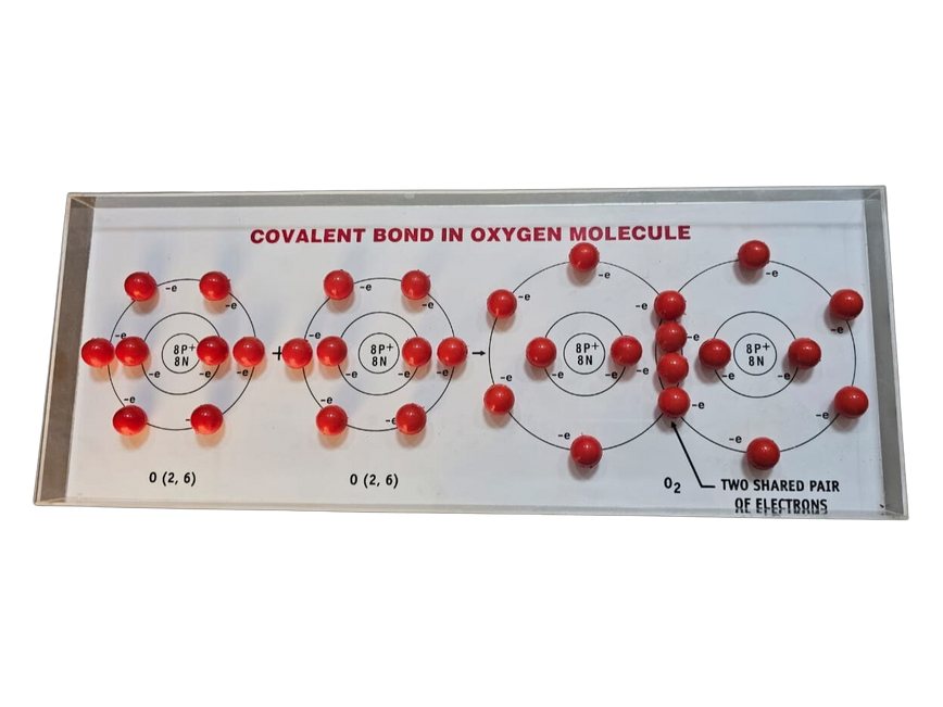 Model of Covalent Bond in Oxygen Molecule (MGE-2423)