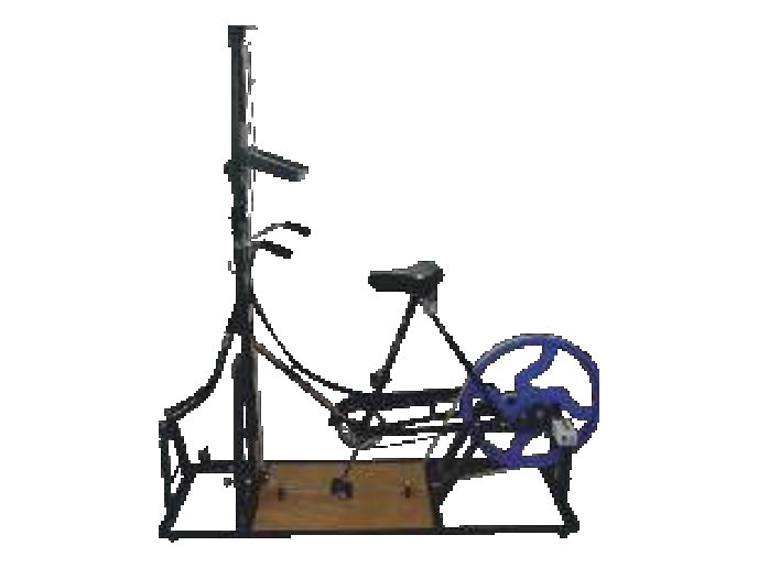 Bicycle Ergograph (MGE-1551)