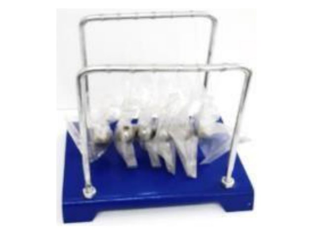Newton's Cradle (MGE-1650)