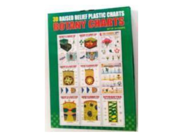Botany – 3D Embossed Charts (Set of 10) (MGE-1774)