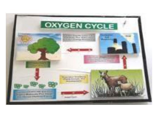 LED Working Model – Choose Topic (16" × 19") (MGE-1792)