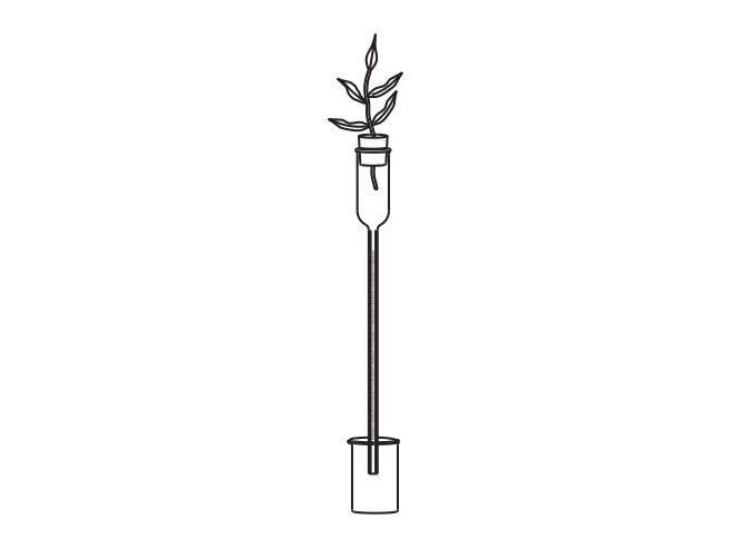 Apparatus for demonstrate sunction due to transpiration. A capillary tube… (MGE-1273)