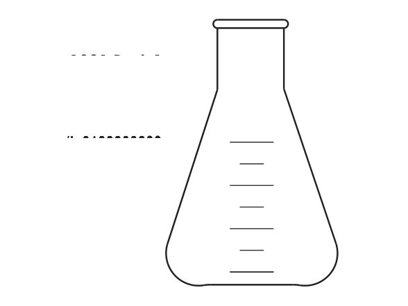Flasks Erlenmeyer’s (MGE-707)