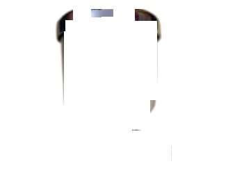 Filter SS 316 Filter Holder Assembly (MGE-852)