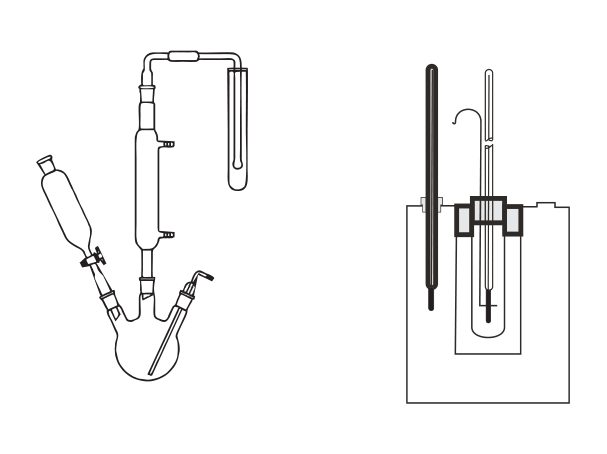 Sulphur Dioxide Assembly, as per USP (MGE-869)