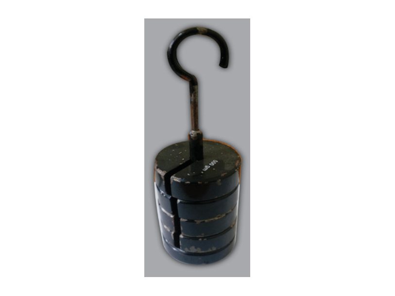 500 g Slotted Weight with Hook (MGE-1309)