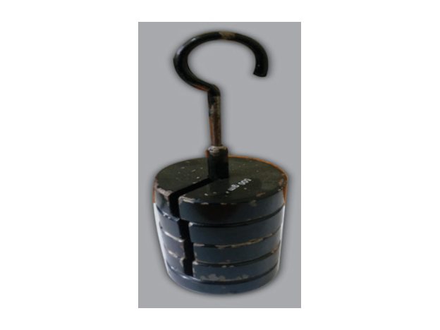 100 g Slotted Weight with Hook (MGE-1339)